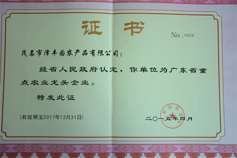 广东省农业龙头企业证书