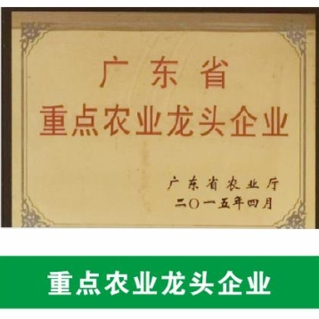 广东省重点农业龙头企业